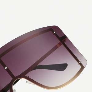 Gafas de Sol Grandes de Moda con Logotipo Personalizado para Hombre y Mujer, Gafas de Sol Extra Grandes de una Pieza para Mujer - Product Image 4