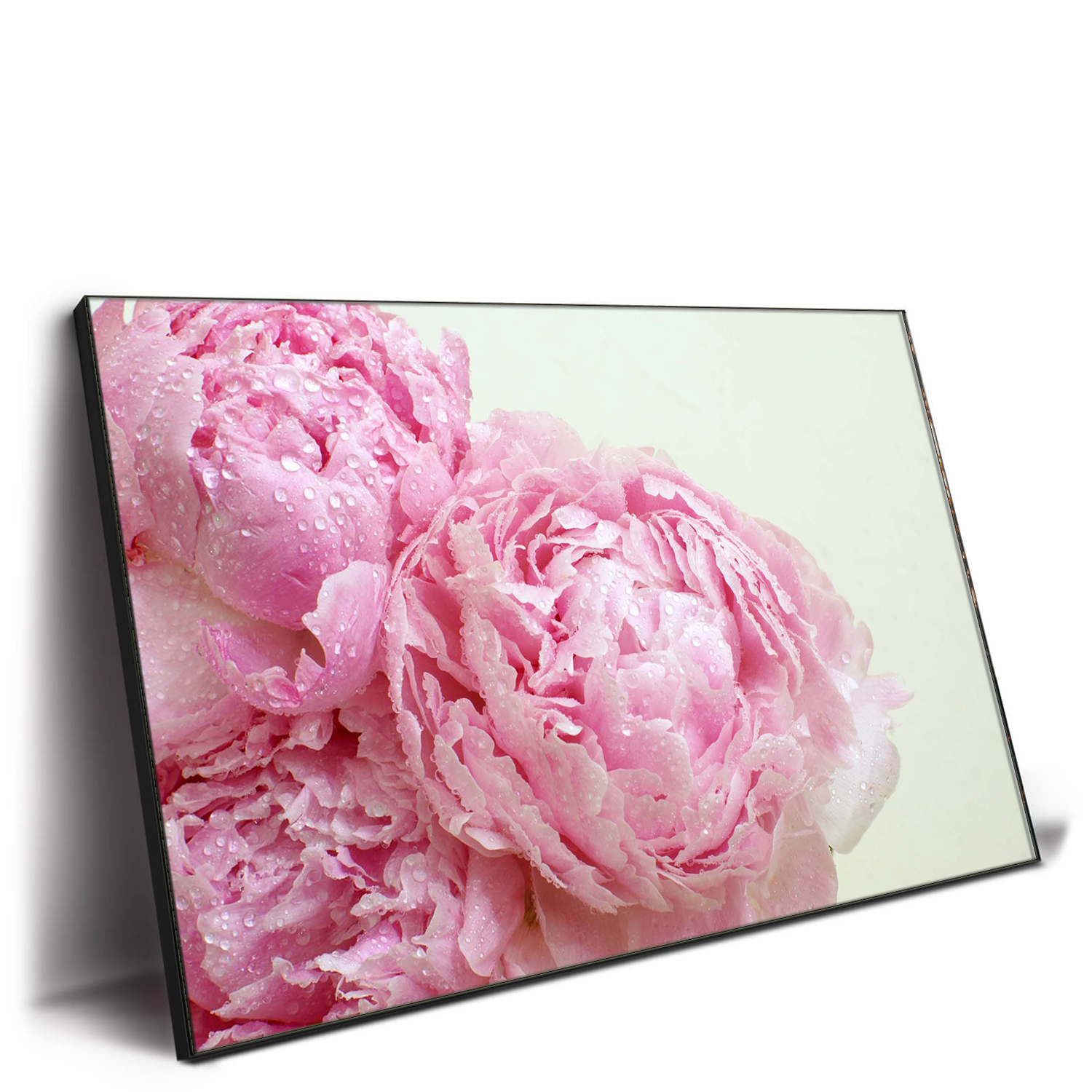 Taille personnalisée et image disponible