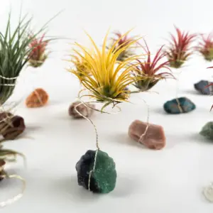 All'ingrosso basso prezzo pianta di pietra grezza cristalli naturali pietre curative per la decorazione