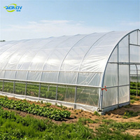 Serre tunnel monopente à structure en acier galvanisé, avec bâche PE anti-UV, pour la culture commerciale de tomates