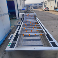 Fruitverwerkingsmachine, fruitjam productielijn, fruitjam maaklijn, kleine jamverwerkingsmachine