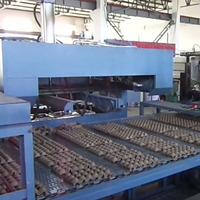 Prix de la machine de fabrication de caisses/plateaux/cartons à oeufs Machine de fabrication de plateaux à oeufs d'alvéoles Machine de fabrication de plateaux à oeufs de caille