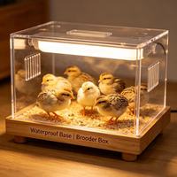 Boîte d'élevage pour cailles en acrylique avec base en bois imperméable, petite cage transparente pour l'élevage de bébés cailles et de poussins