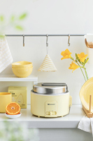 Dortoir Ménage Multi-fonctionnel Petite Puissance Pliable Électrique Hot Pot Cooker