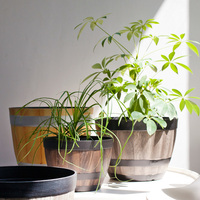 Pots de fleurs minimalistes biodégradables en plastique avec trou de drainage, paniers suspendus pour usage extérieur et domestique, pots à orchidées pour centres commerciaux