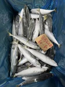 تصدير جديد على متن الطائرة - Product Image 3