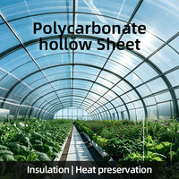 Plaque en polycarbonate alvéolaire transparente sur mesure, résistante aux UV, pour la vente en gros