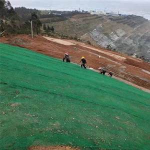 건설 및 경사 보호를 위한 침식 제어 3D 지오메트 플라스틱 지오메트 EM2 EM3 EM4 EM5 3D 지오넷 - Product Image 1