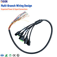 Arnés de Cableado Personalizado para Cámara IP, Multifuncional, con Bloque de Terminales RJ45 y Cable de Alimentación CC para Equipos de CCTV