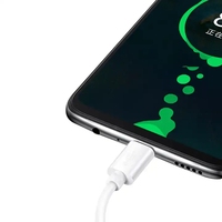 Câble de charge USB portable blanc 0,3 m 0,5 m 1A, câble de données de type C, charge rapide