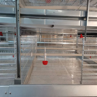Meilleur prix cage de couveuse en acier de type H nouvel équipement automatique de volaille pour les éleveurs de poulets poulettes cailles maille couche batterie fermes
