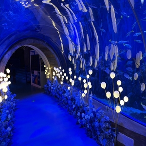 Grosir akuarium kaca skala besar tangki ikan akuarium akrilik transparansi tinggi - Product Image 5