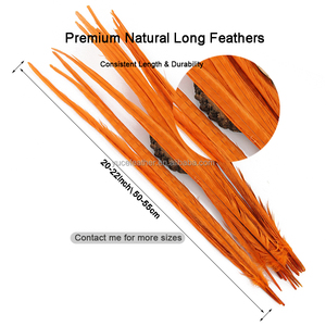Dài Số Lượng Lớn Bán Buôn Nhuộm Tự Nhiên Gà lôi Đuôi Lông 15-60Cm Cho Trang Trí & Quần Áo Phụ Kiện - Product Image 2