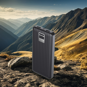 HDL OEM/ODM PD 22.5w 2024 พาวเวอร์แบงค์ความจุสูงรุ่นใหม่ 100000mah ชาร์จเร็ว พร้อมหน้าจอ LED แสดงผลแบบดิจิตอล ช่องเสียบ Micro USB ใช้งานได้ยาวนาน - Product Image 4