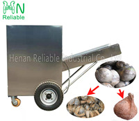 Machine automatique de décorticage et de pelage de noix de coco pour noix de coco jeunes et vieilles, haute efficacité, facile à utiliser, capacité de 1000 pièces/heure