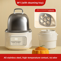Cuiseur Vapeur Électrique 700ML avec Pot Intérieur en Céramique, 9 Fonctions, 400W, Double Bain-Marie, Programmation 12H pour Usage Domestique et Aliments pour Bébé