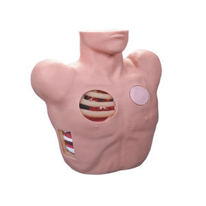 Simulador de Maniquí de Toracocentesis y Drenaje de Tamaño Real Avanzado con Material de PVC - Módulo de Entrenamiento para Punción de Neumotórax - Product Image 2