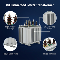 Transformateur sur mesure immergé dans l'huile 100 kVA 33 kV à faible perte, triphasé, à bobinage en cuivre