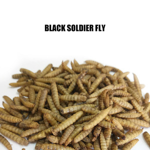 Soldat noir mouche larves séchées vers de farine de Chine pour poisson cochon cheval-emballé dans des sacs Black Soldier Fly Farms - Product Image 2