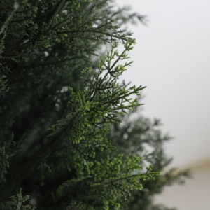 Árbol Artificial <span class=keywords><strong>de</strong></span> Cedro, Pino o Ciprés, Diseño Popular para Decoración, Planta Topiaria Artificial <span class=keywords><strong>de</strong></span> Buxus - Product Image 6