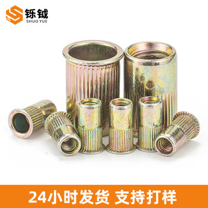 Écrou à sertir Shuoyue M6 métrique, couleur zinc, anti-desserrage, pour l'industrie de la construction - Product Image 4