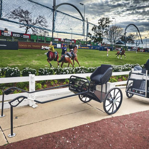 Compétition en acier Sulky <span class=keywords><strong>Horse</strong></span> <span class=keywords><strong>Cart</strong></span> pour équestre - Product Image 4