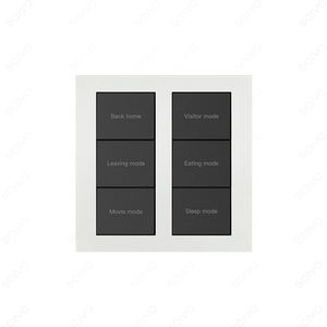 Home smart controller switch forniture per apparecchiature elettriche per la casa interruttore della luce a 2 vie 1 Gang compatibile con Alexa e Google - Product Image 2