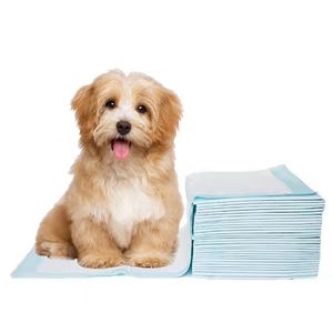 Échantillon Gratuit Tapis Hygiéniques Jetables Super Absorbants pour Animaux de Compagnie, Tapis de Toilette pour Chiots, Coussinets d'Entraînement pour Chiens, Tapis Anti-Fuites pour Chiens - Product Image 1