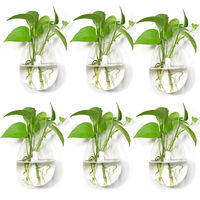 Vase mural en verre écologique en forme de goutte d'eau pour plantes hydroponiques, avec plantes vertes pour salon, décoration murale simple