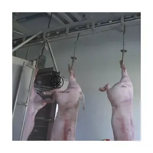 Aktif talep domuz mezbaha ekipmanları tasarım domuz et derin kesim makine tesisi için temizleme makinesi