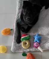 Jouet en peluche sonore pour chien et chat, résistant aux morsures, puzzle, non imperméable, pour usage intérieur et extérieur