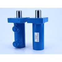 Systèmes hydrauliques industriels DZ257/40 : Cylindre hydraulique standard à double effet, à tige unique et haute pression