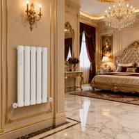 Radiateur Colonne Décoratif Vertical en Acier SL5025D, Économe en Énergie, Mural, Design Européen Moderne, CVC
