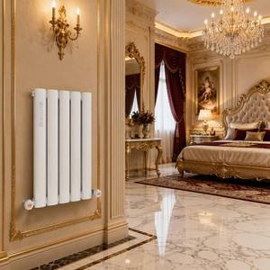 SL5025D Radiador de Columna Vertical Decorativo de Acero, Ahorro de Energía, Montado en la Pared, Diseño Europeo Moderno, HVAC - Product Image 1