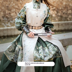 Ru Meng Ni Shang Original Hanfu Ming-Dynastie Design Goldfaden Fliegender Fisch Motiv Unisex Wasserdrachen-Gesang Helden-Kostüm - Product Image 6