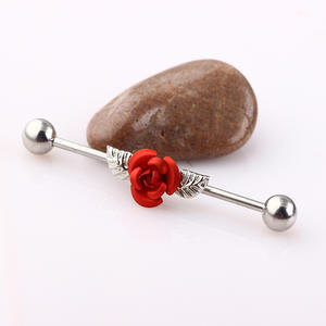 Bon marché Prix 5mm Boules Extrémités Rouge Rose <span class=keywords><strong>Sur</strong></span> Acier Chirurgical 316L Industrial Barbells Boucles D'oreilles 2023 - Product Image 2