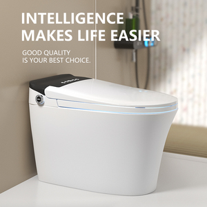 Hot bán tự động thiết bị vệ sinh sưởi ấm ghế phòng tắm WC thông minh nhà vệ sinh thông minh - Product Image 3
