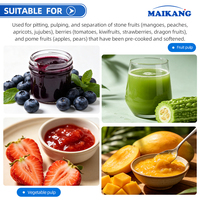 Extractor de Jugo de Frutas Automático Profesional, Motor de Alta Capacidad, Acero Inoxidable de Grado Alimenticio, Máquina Separadora de Semillas y Pulpa
