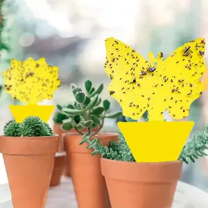 Trampa Adhesiva Amarilla <span class=keywords><strong>de</strong></span> Doble Cara con Pegamento Fuerte para <span class=keywords><strong>Atrapar</strong></span> Insectos, Control <span class=keywords><strong>de</strong></span> Plagas Ecológico, Moscas <span class=keywords><strong>de</strong></span> <span class=keywords><strong>la</strong></span> <span class=keywords><strong>Fruta</strong></span>, <span class=keywords><strong>Mosquitos</strong></span>, <span class=keywords><strong>Mosquitos</strong></span> Pequeños - Product Image 4