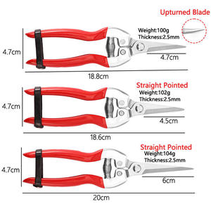 Thin Stainless Steel Fruit <b>Cutter</b> Long Straight Garden Shears Scissors Plastic Precision <b>Edge</b> for Grape Harvesting Bud Trimming - Product Image 2