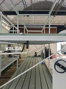 Tùy chỉnh đa-tier dọc phát triển Rack cho không gian-hiệu Quả Nhà máy sản xuất - Product Image 6