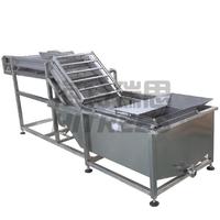 Fabriek Directe Levering Groente Fruit Ijs Coating Machine Bevroren Garnalen Vis Zeevruchten Ijs Coating Machine