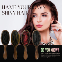 Nouvelles brosses à cheveux démêlantes de qualité supérieure en bois de santal, deux tailles, avec picots métalliques or et argent, poils de sanglier et dents en nylon, pour extensions capillaires