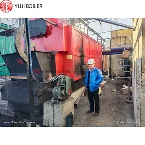 Dzl Boiler Simple Installation Industrial Travelling Grate Type Dzl Coal Steam Boiler