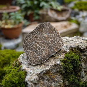 Cristal Curativo Pulido Ecológico al por Mayor, Piedra en Bruto con Forma Irregular para Decoración del Hogar - Product Image 3