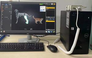 Panel médico Digital <span class=keywords><strong>dr</strong></span>, Detector de Panel plano con cable 1717, 17x17 pulgadas, oferta especial - Product Image 3