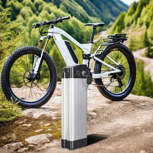 Batterie Li-ion pour vélo électrique style Silver Fish <span class=keywords><strong>36V</strong></span> 48V 14Ah 15Ah <span class=keywords><strong>20Ah</strong></span> <span class=keywords><strong>BMS</strong></span> 500W 750W 1000W Kit de conversion moteur moyeu Modèle XRH 32E - Product Image 5