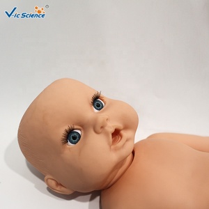 Modelo Anatómico <span class=keywords><strong>de</strong></span> <span class=keywords><strong>Esqueleto</strong></span> <span class=keywords><strong>de</strong></span> Bebé <span class=keywords><strong>de</strong></span> PVC Avanzado, Modelo Médico <span class=keywords><strong>Humano</strong></span> para Uso en Escuelas <span class=keywords><strong>de</strong></span> Medicina y Aulas - Product Image 2