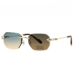Nouvelles lunettes <span class=keywords><strong>de</strong></span> soleil photochromiques sans monture, design tête <span class=keywords><strong>de</strong></span> léopard, protection UV, verres adaptatifs à la lumière - Product Image 4