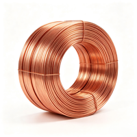 Cable de Cobre Desnudo T2 de Alta Pureza 99.99%, Cable Sólido de Cobre Rojo ETP para Bobinado de Motores de Transformadores, Uso Conductivo Eléctrico